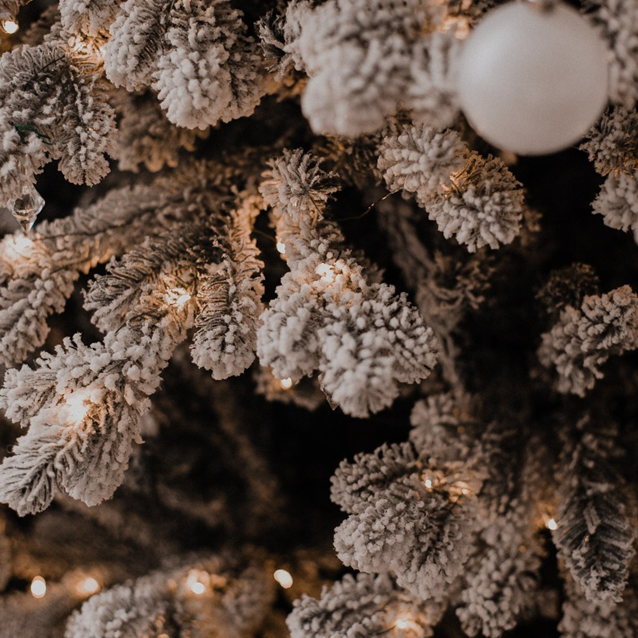 Новогодние истории. Фотограф в Краснодаре и Краснодарском Крае