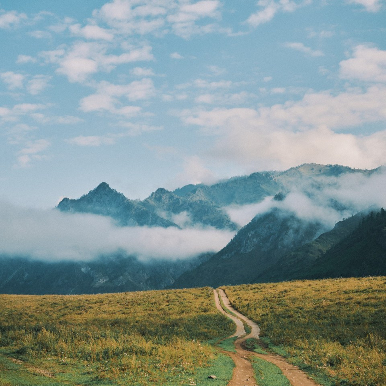 Отзывы. Свадебный и коммерческий фотограф Максим Наземцев