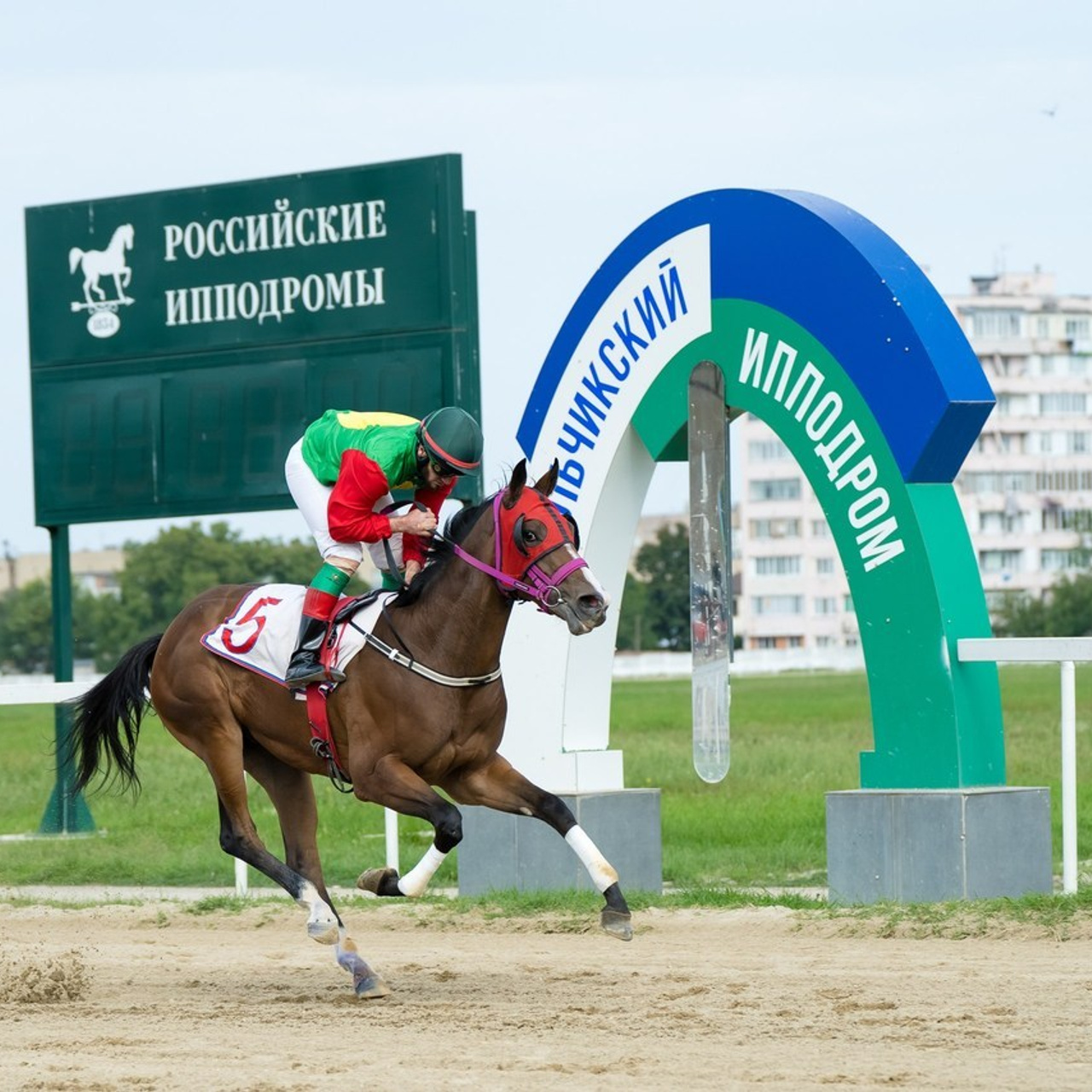 Отзывы. Ньюборн фотограф, фотограф новорожденных г. Нальчик Залина Афаунова