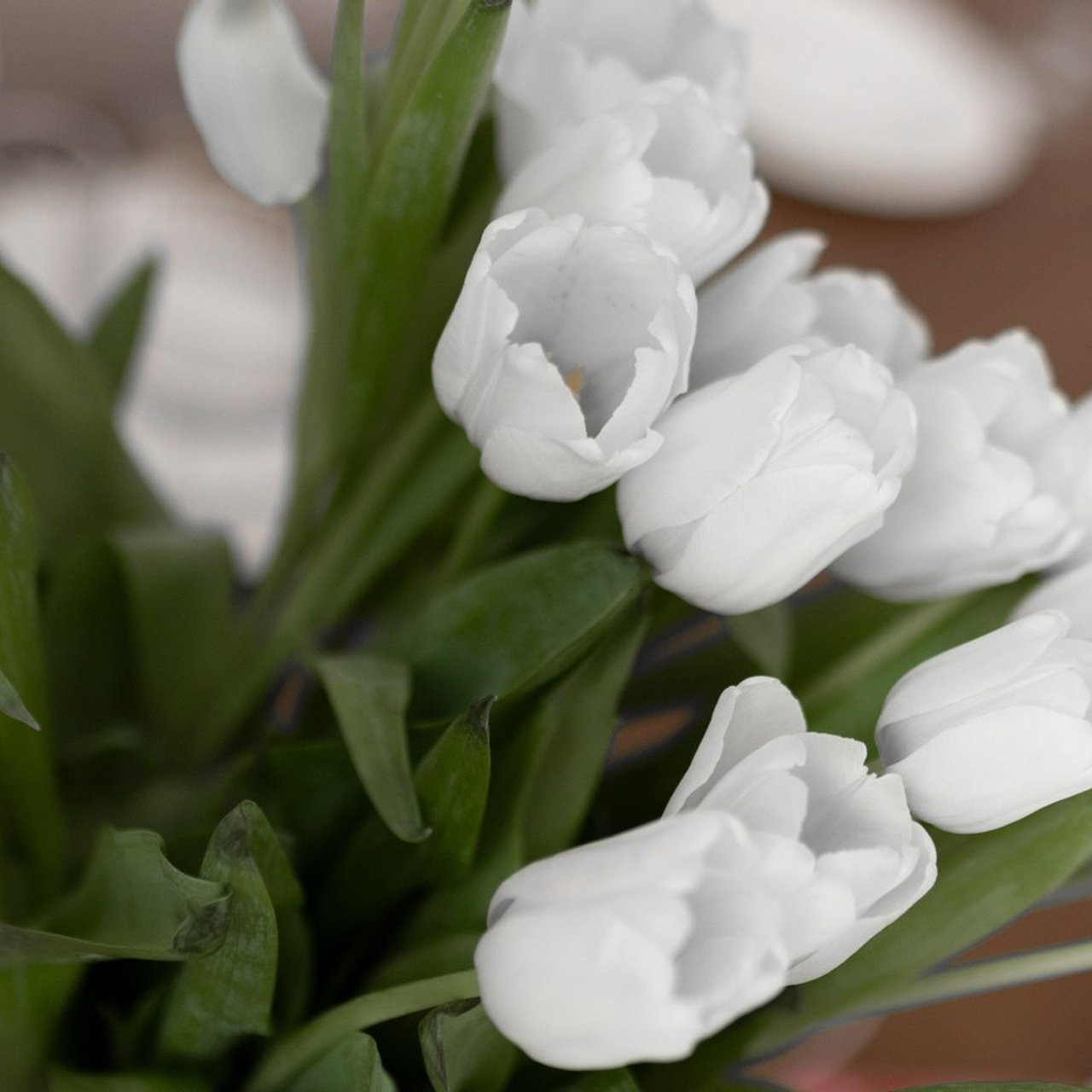 Отзывы. Свадебный фотограф | Москва