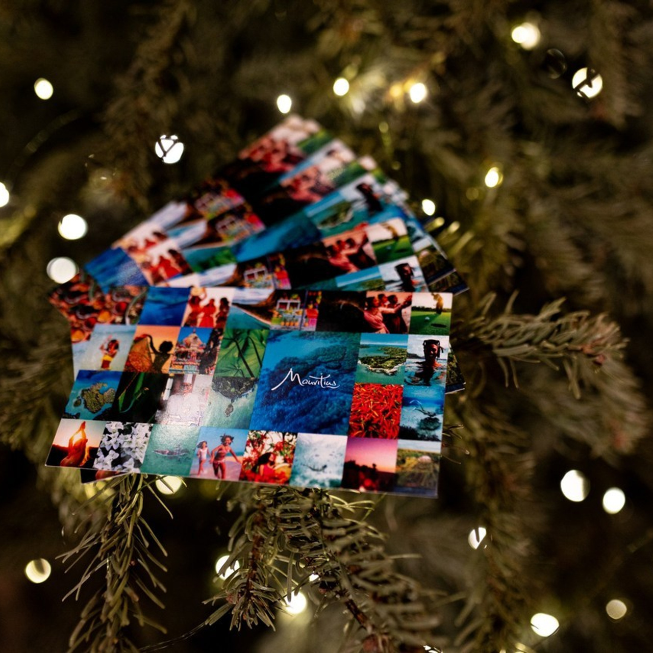 Отзывы. Свадебный фотограф | Москва