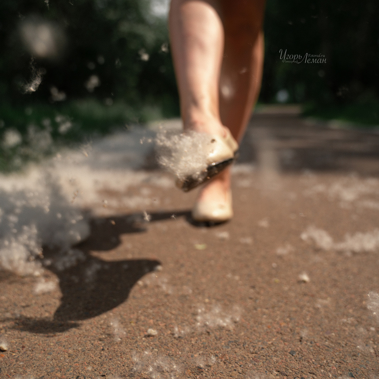 Отзывы. Свадебный и семейный фотограф Калининград Зеленоградск Светлогорск Леман Игорь