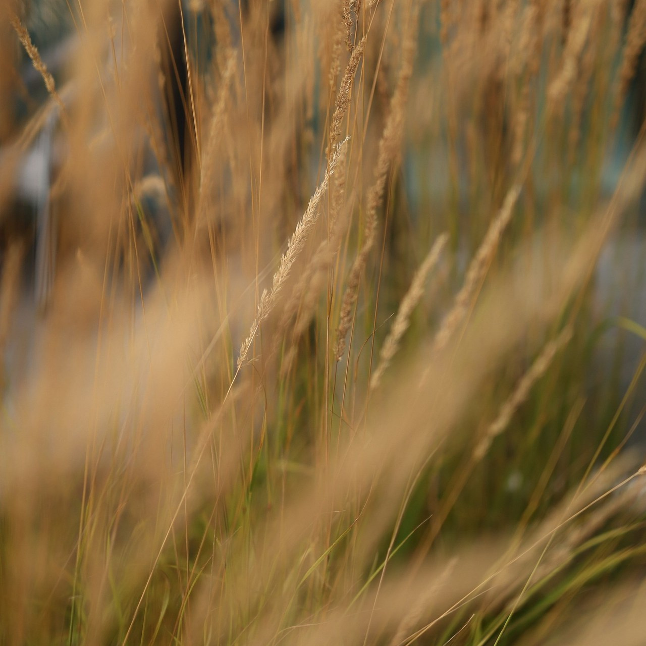 Отзывы. Свадебный фотограф в Челябинске, Екатеринбурге и Москве