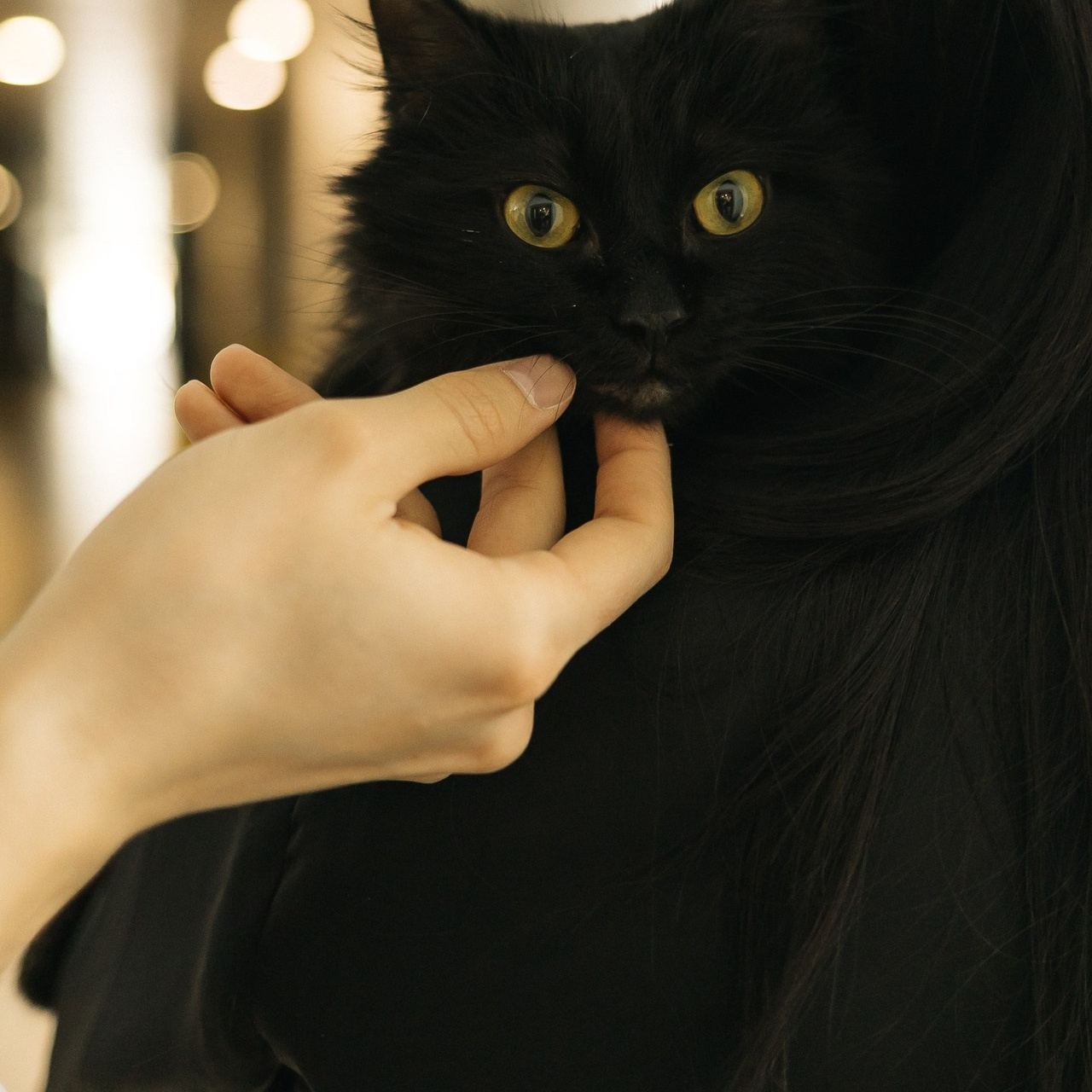 Благодарности. Свадебный фотограф в Уфе Кира Прозорова