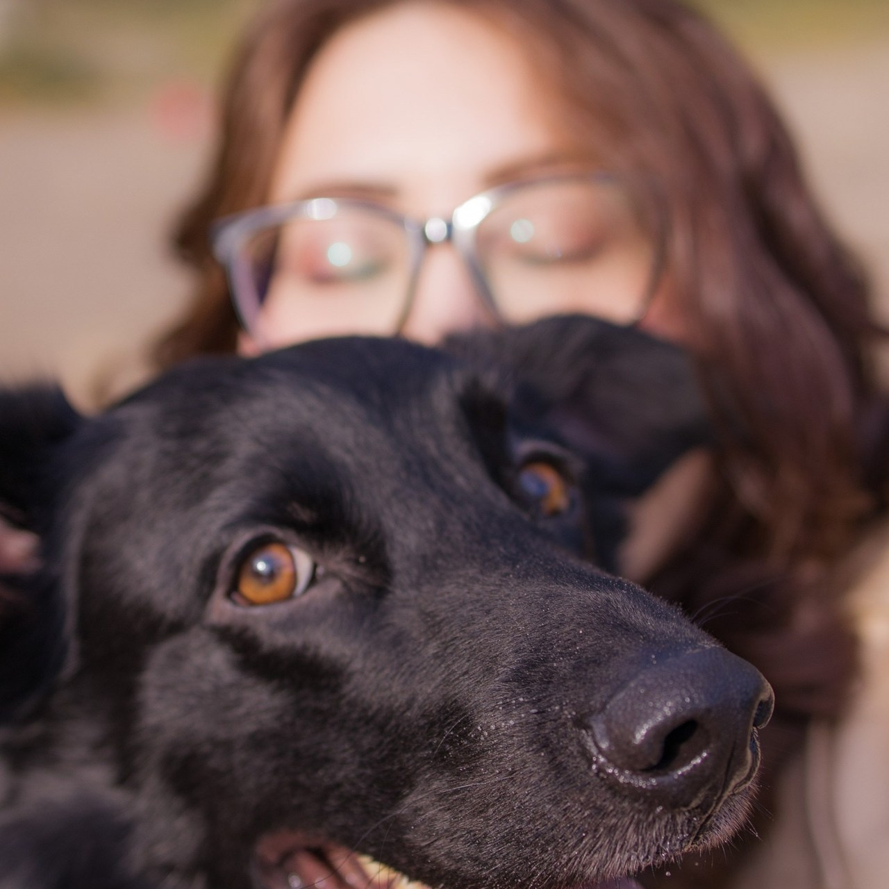 Отзывы. Художественная фотография