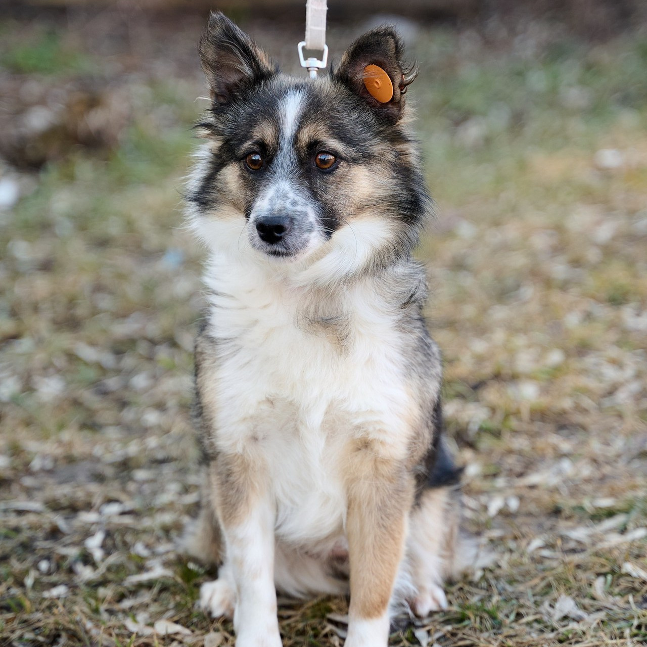 Отзывы. Свадебный, семейный, детский фотограф в Острогожске Татьяна Волошина