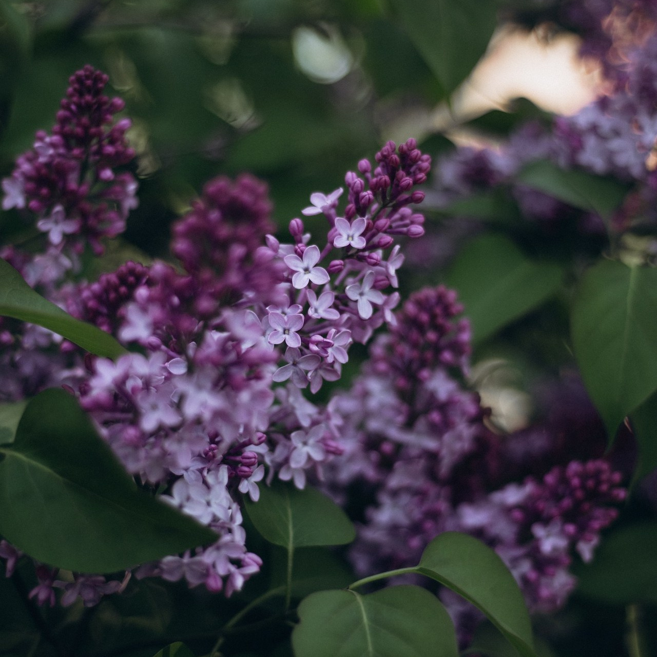 Отзывы. Фотограф в Омске Мария Попова