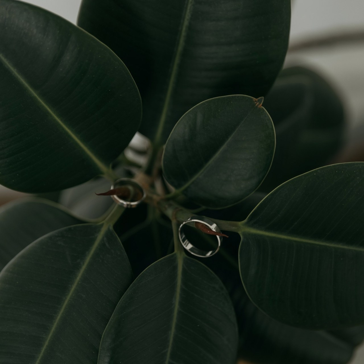 Отзывы. Свадебный фотограф в Краснодаре Ольга Цвиченко