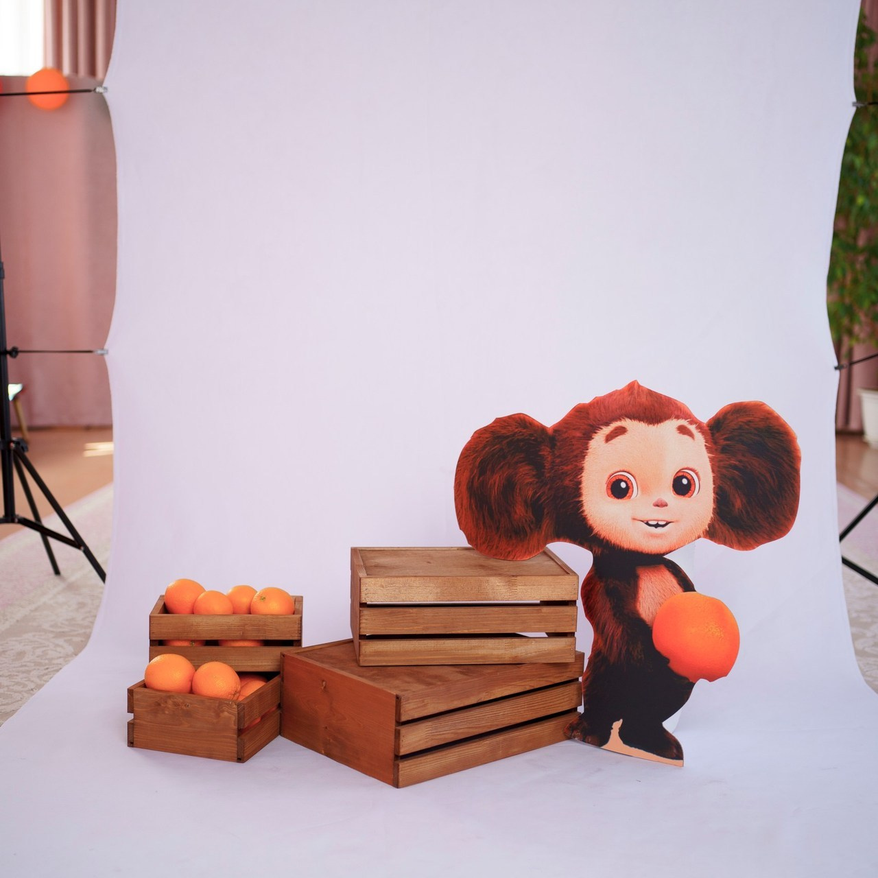 Отзывы. Фотограф новорождённых в Рязани и Сасово Регина Ломова