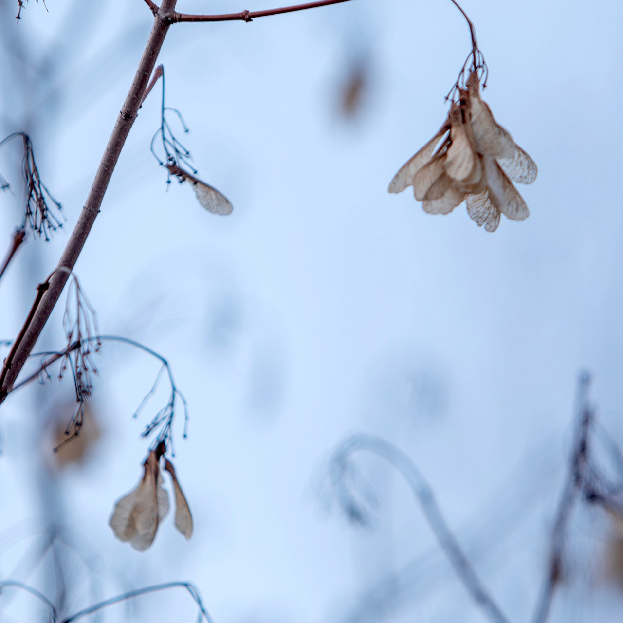 Пейзажи, натюрморты, урбанистика. Фотограф в Нефтеюганске Чтенцова Юлия