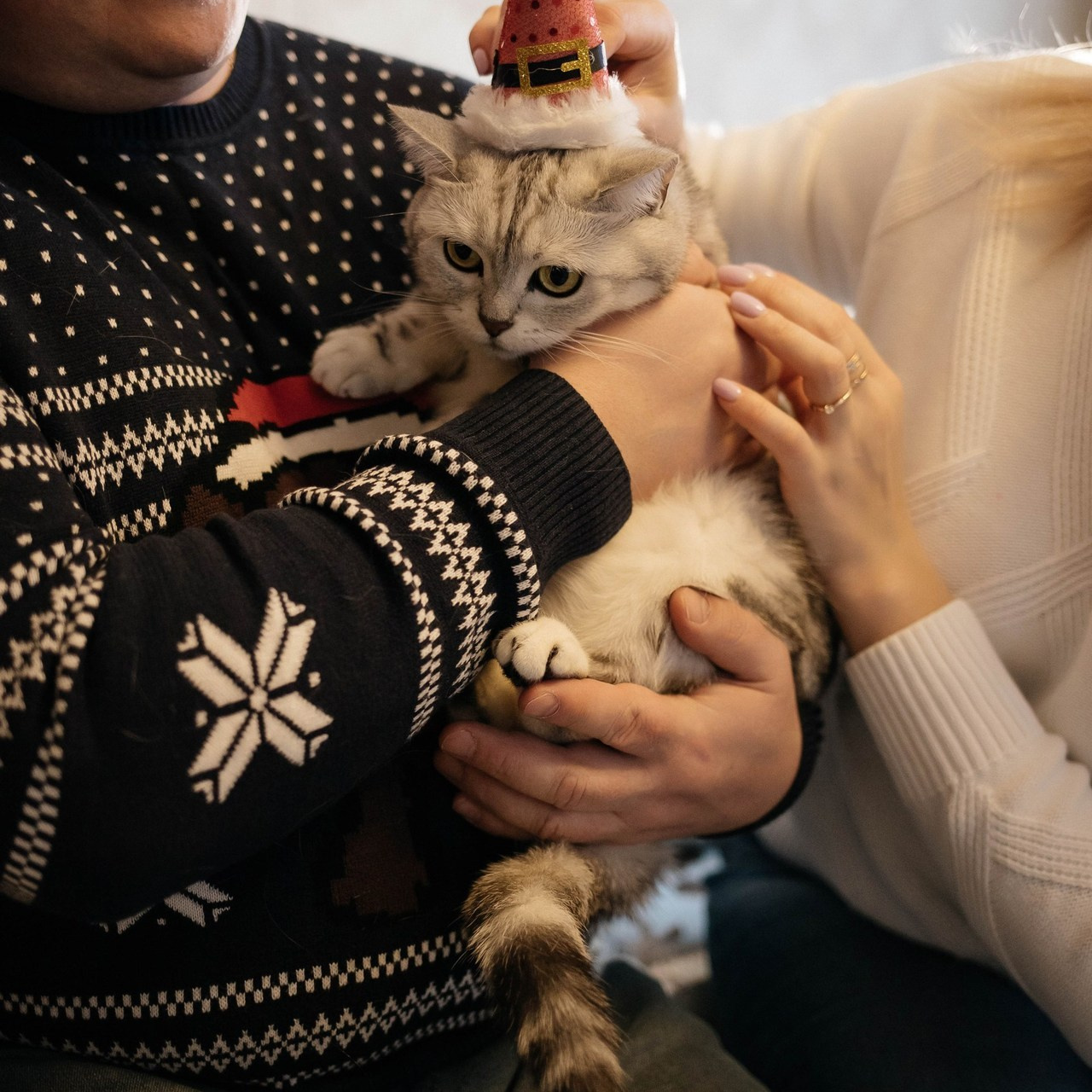 Отзывы. Фотограф в Нижнем Новгороде и Кстово