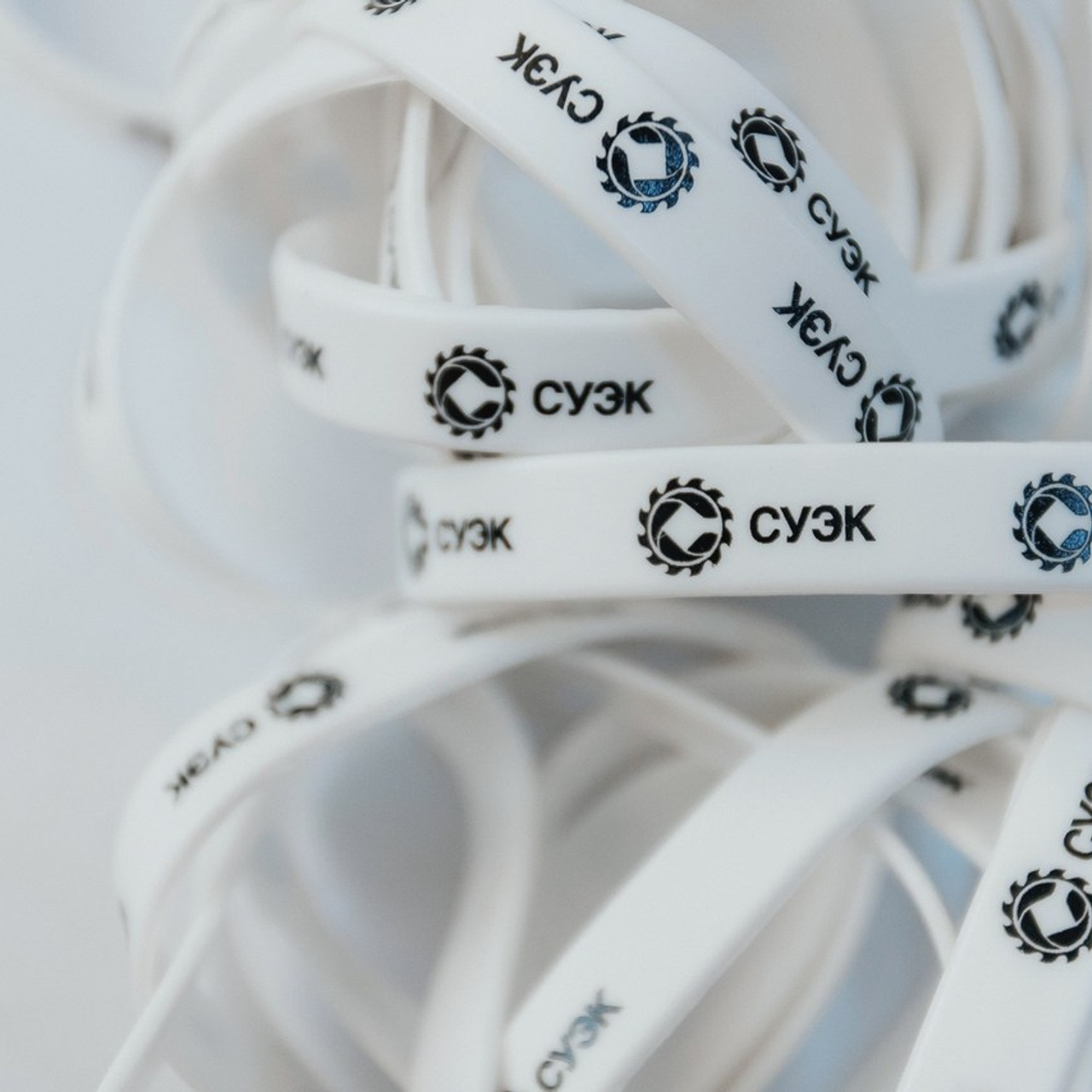 Feedback. Алёна Киселёва | фотограф