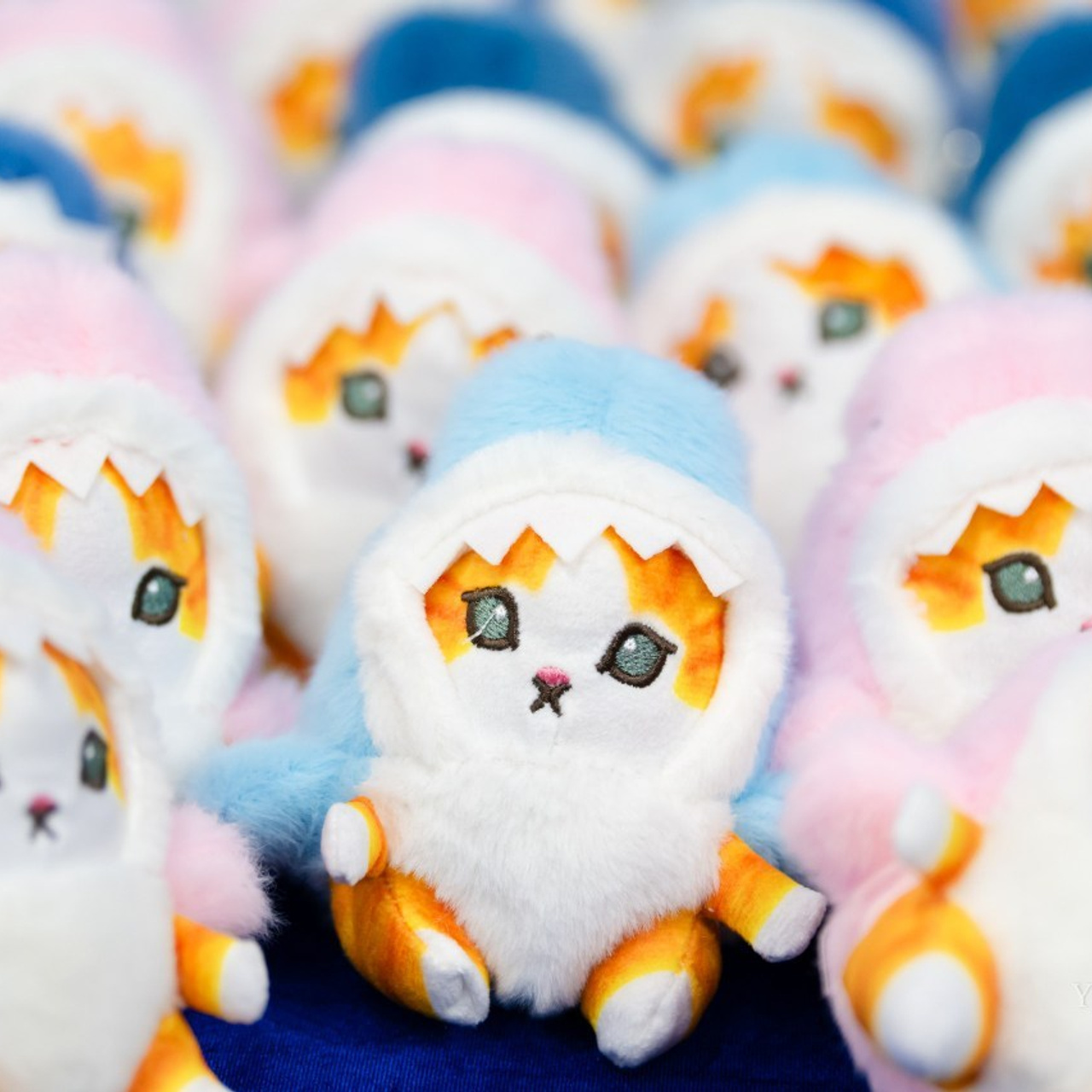 Отзывы. Любимый фотограф