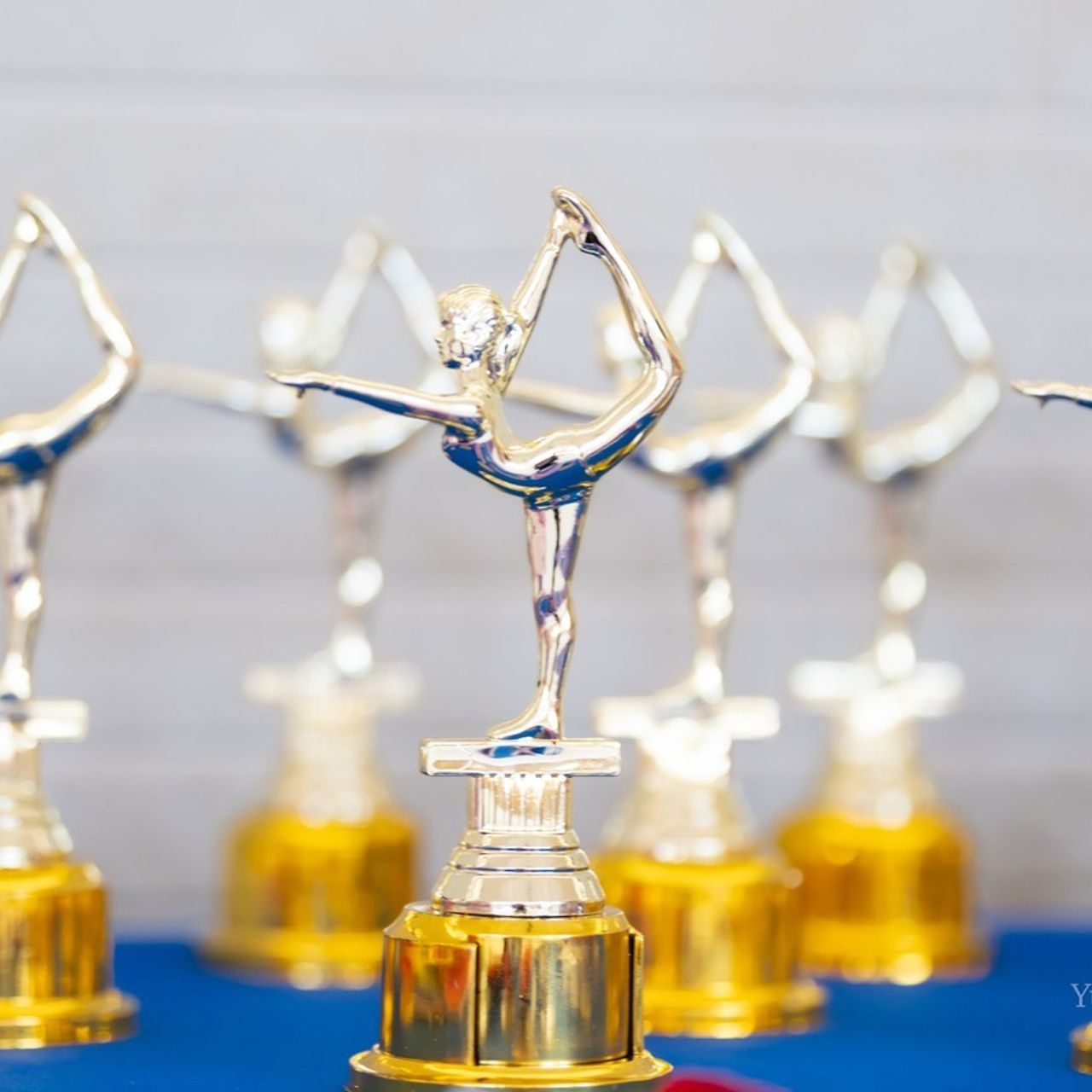 Отзывы. Любимый фотограф