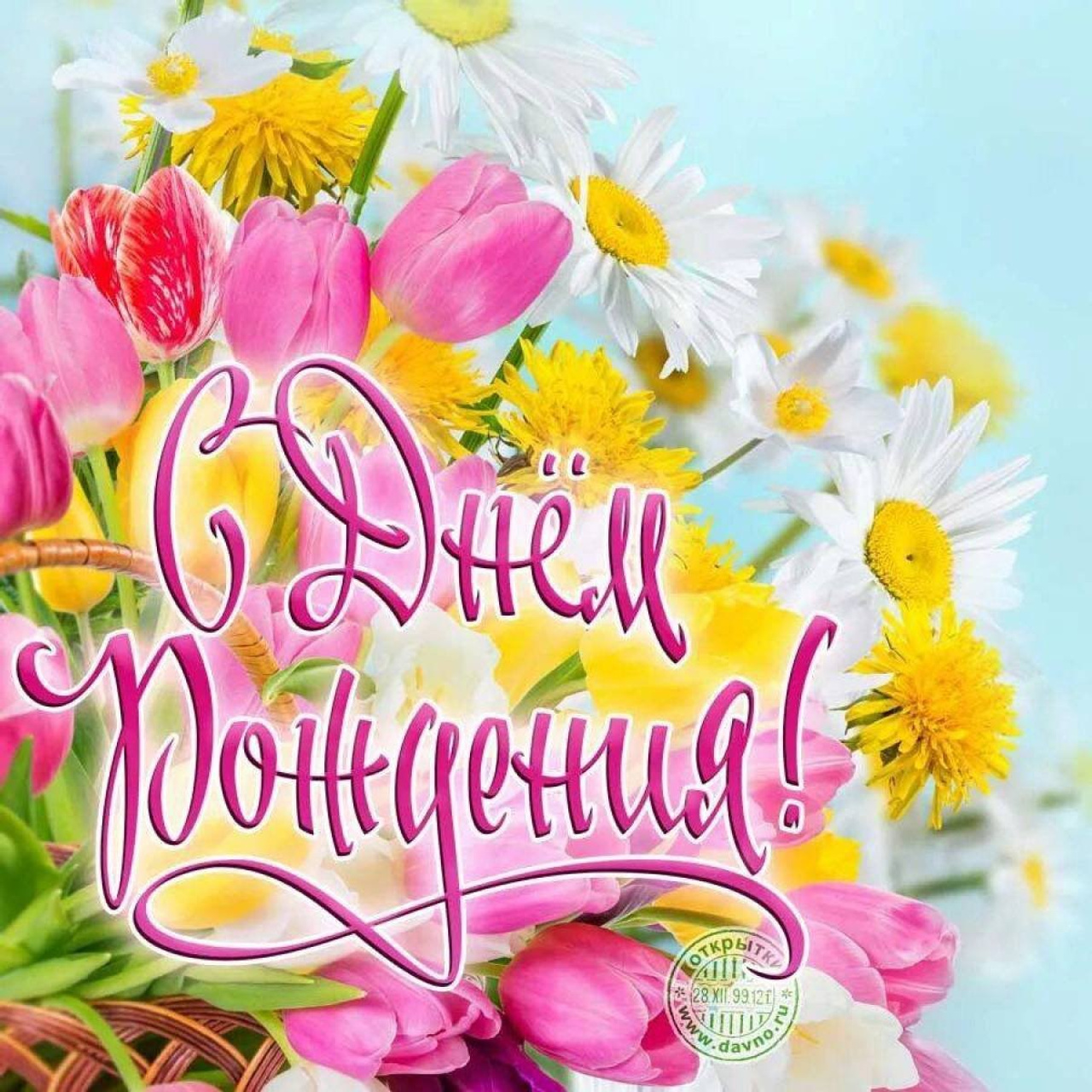 Отзывы. Любимый фотограф