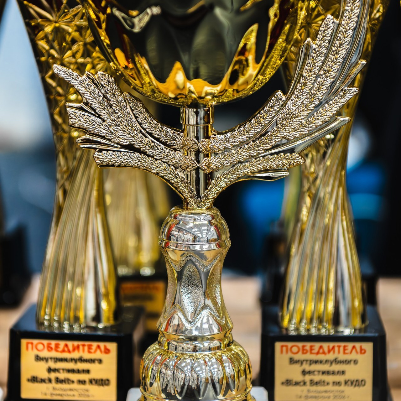 Отзывы. Любимый фотограф