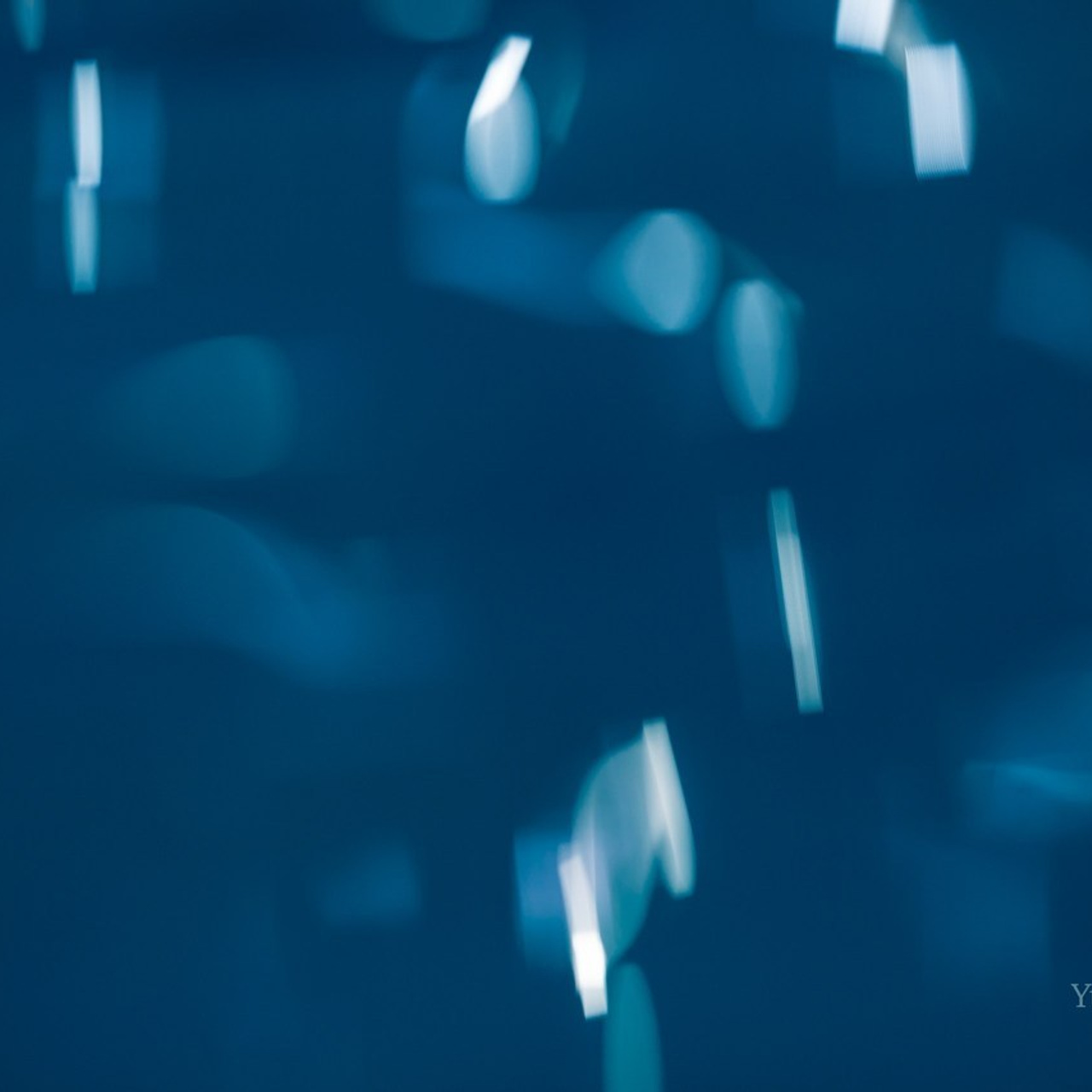 Отзывы. Любимый фотограф