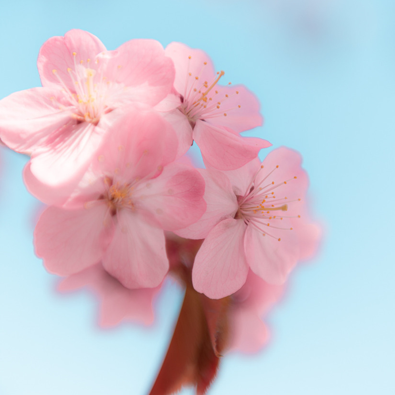 Отзывы. Любимый фотограф