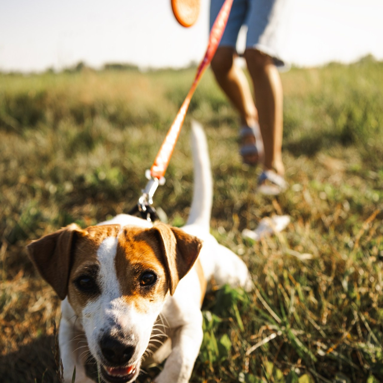 Отзывы. Alen_stR