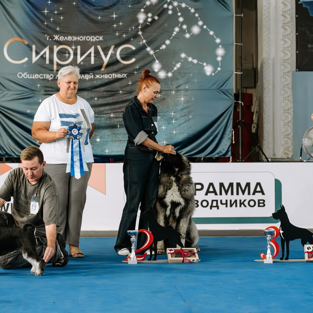 Отзывы. Фотограф Диана Оленина Красноярск / Братск