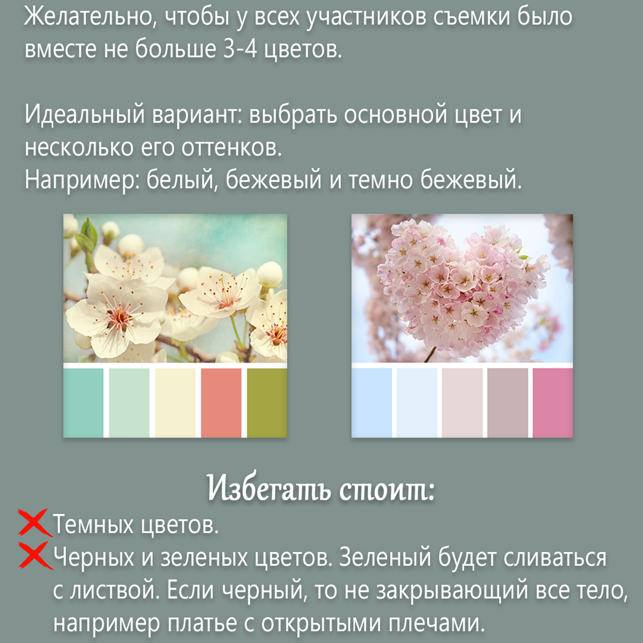 Отзывы. Фотограф Диана Оленина Красноярск / Братск