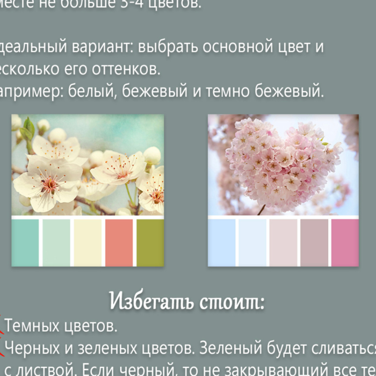 Отзывы. Фотограф Диана Оленина Красноярск / Братск