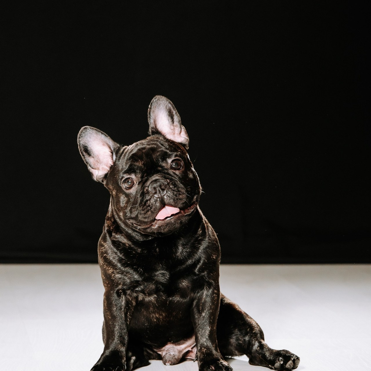 Отзывы. Фотограф Диана Оленина Красноярск / Братск