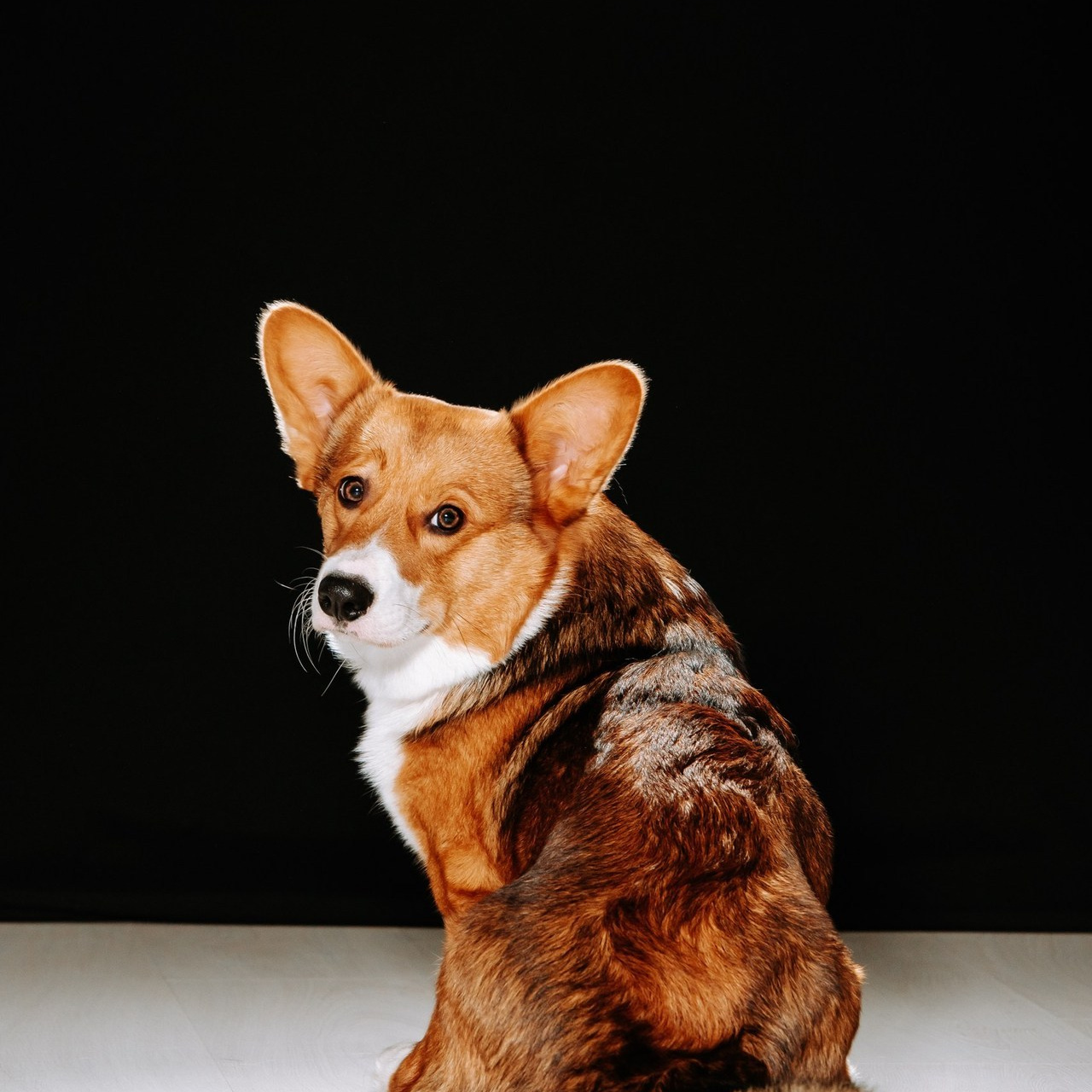 Отзывы. Фотограф Диана Оленина Красноярск / Братск