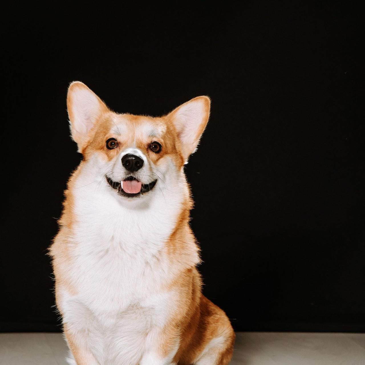 Отзывы. Фотограф Диана Оленина Красноярск / Братск