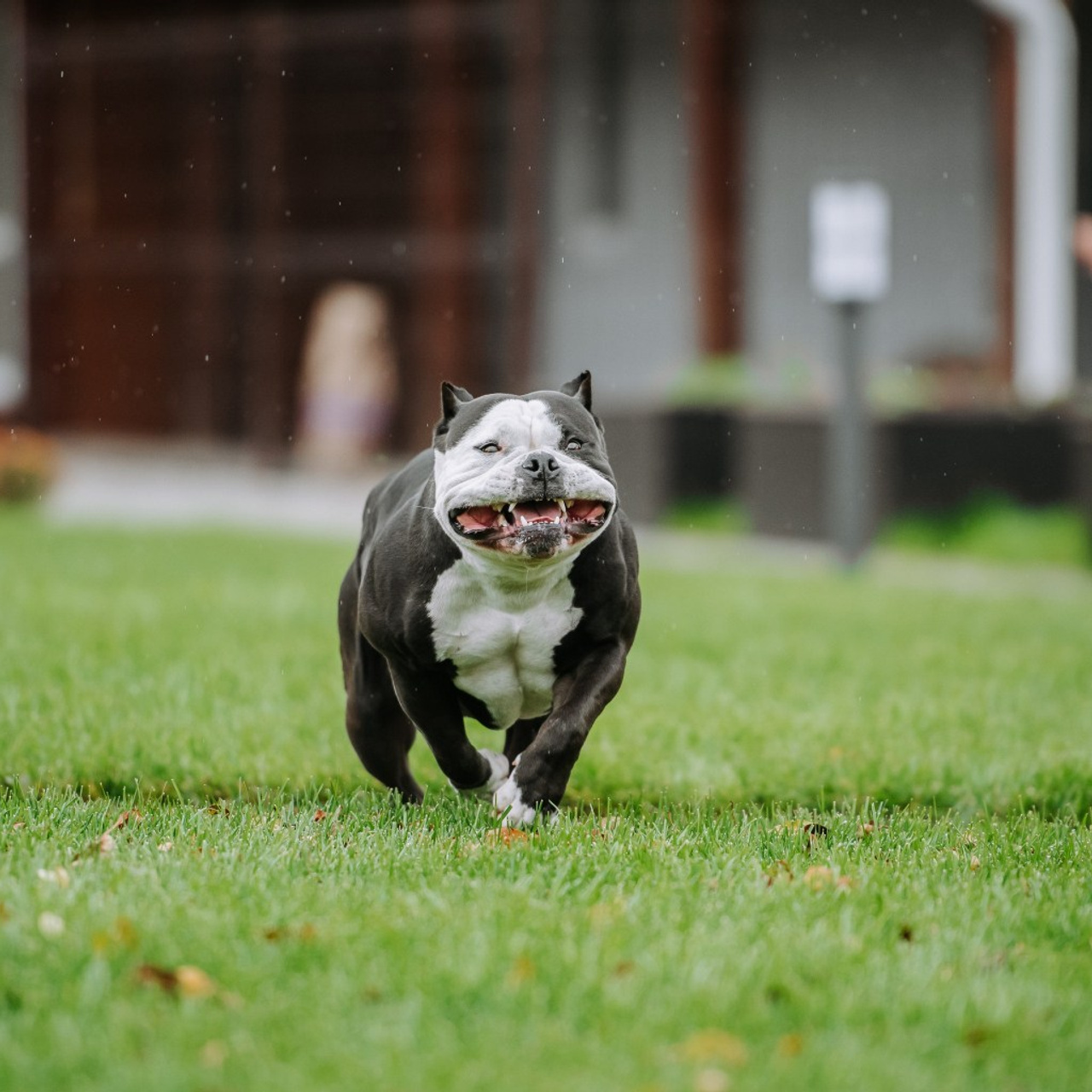 Отзывы. Фотограф Диана Оленина Красноярск / Братск
