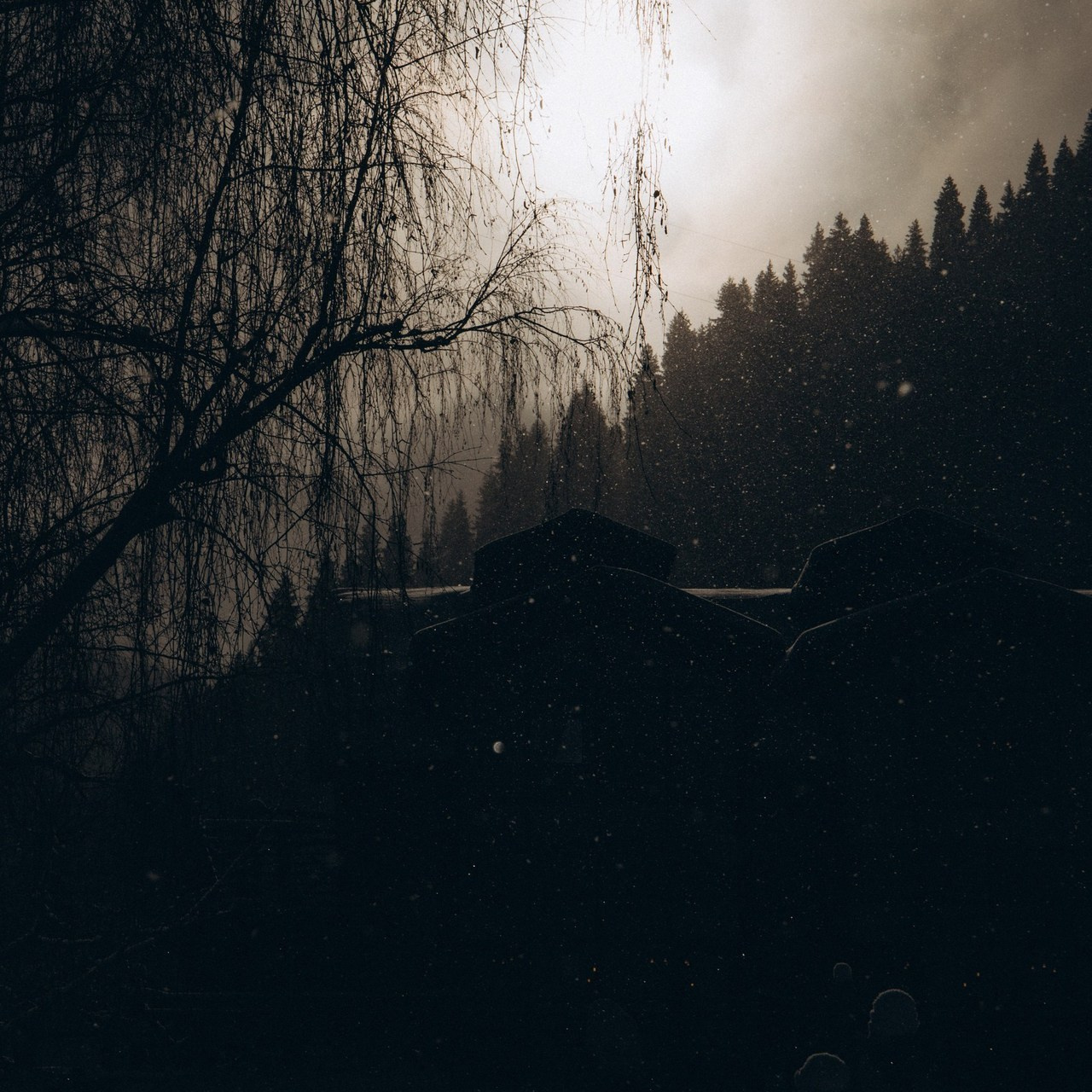 FEEDBACK. Свадебный и семейный фотограф Нурлыхан Алимбеков