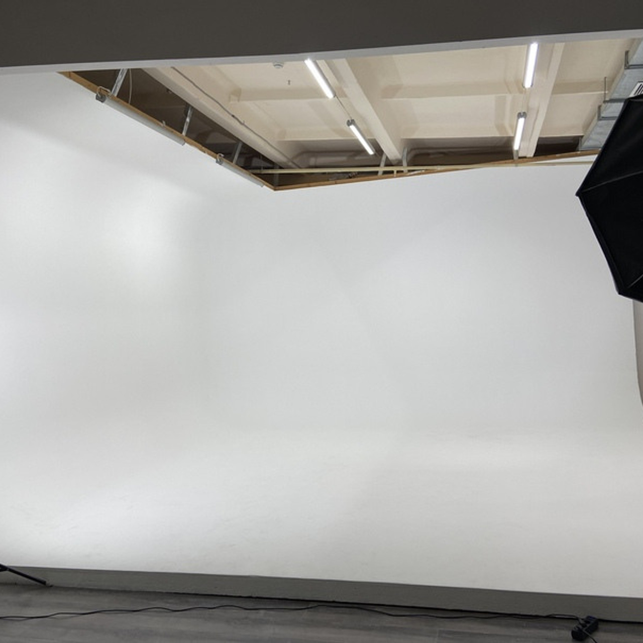 Фокус — Зал с циклорамой