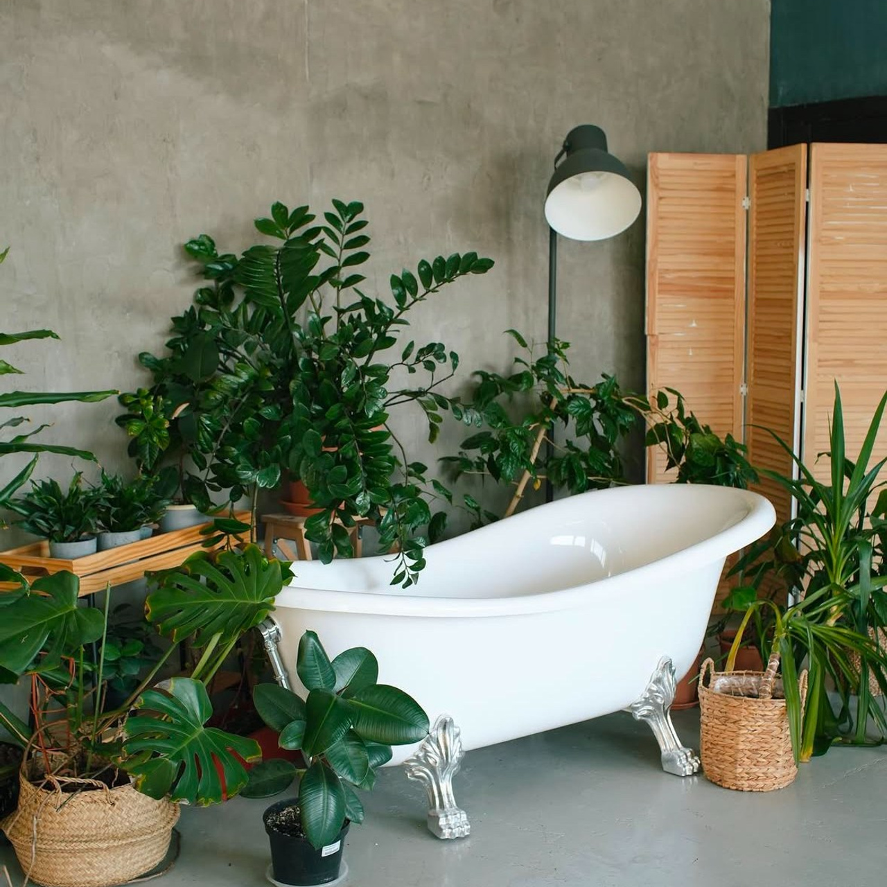 MORE — Зал галерея