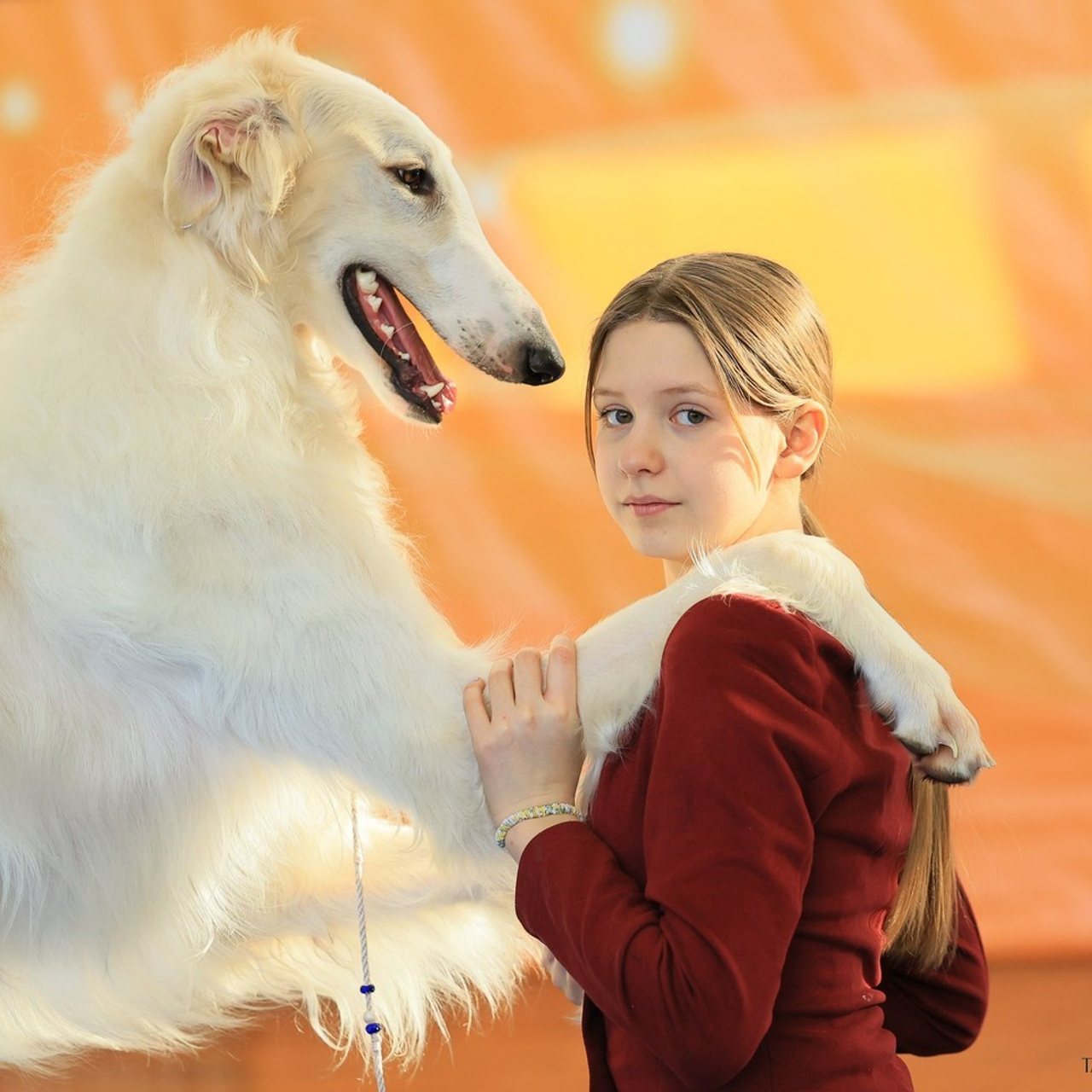Татьяна Кауфман - отзывы о фотосессия. Фотограф Анималист из Новосибирска Татьяна Кауфман