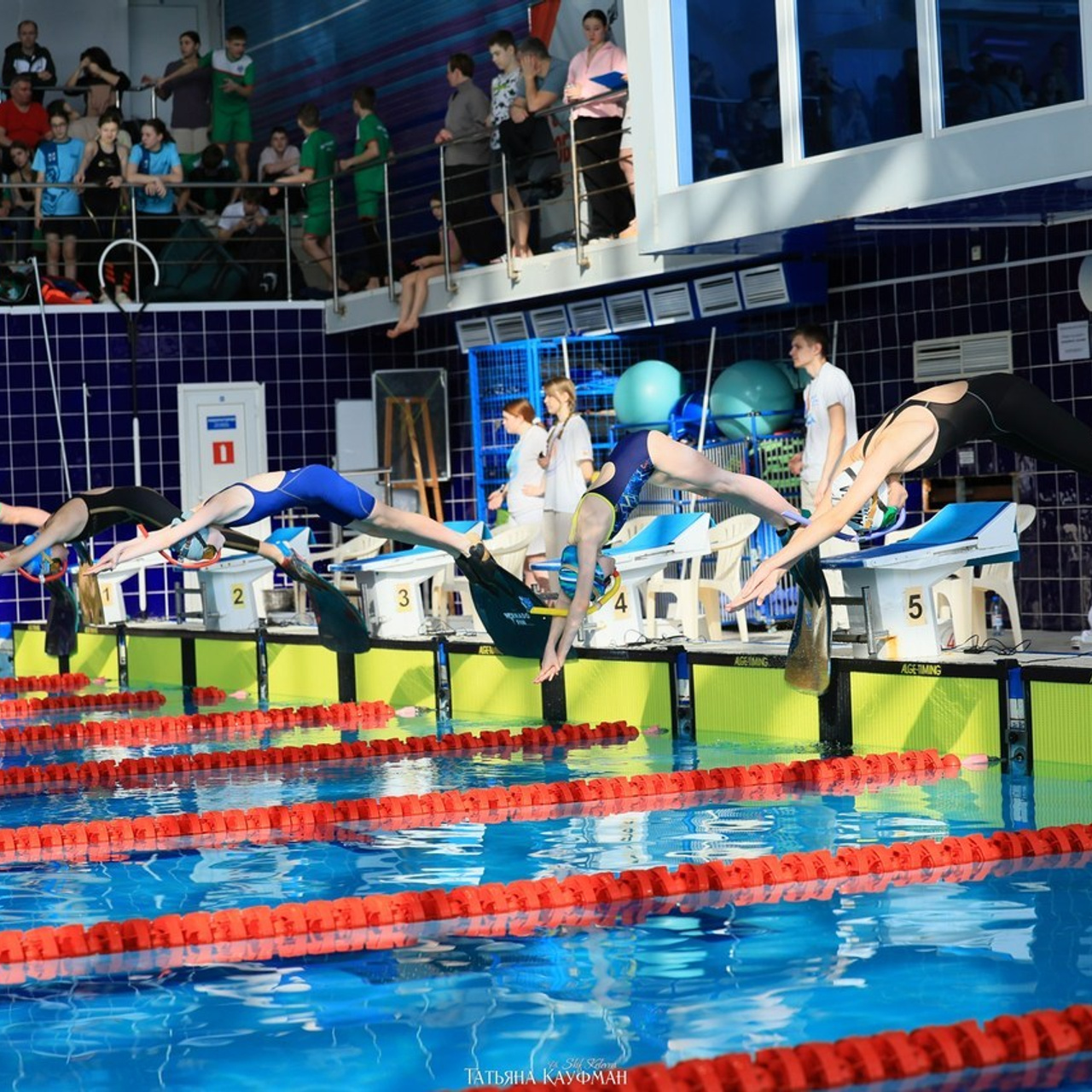 Татьяна Кауфман - отзывы о фотосессия. Фотограф Анималист из Новосибирска Татьяна Кауфман