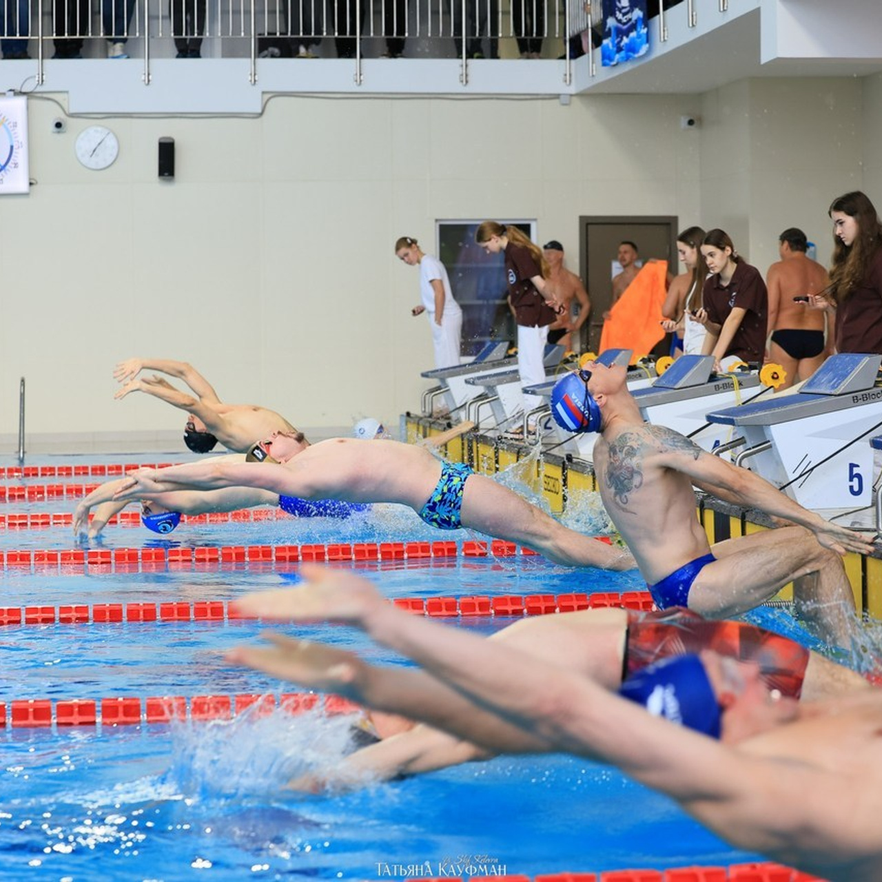 Татьяна Кауфман - отзывы о фотосессия. Фотограф Анималист из Новосибирска Татьяна Кауфман