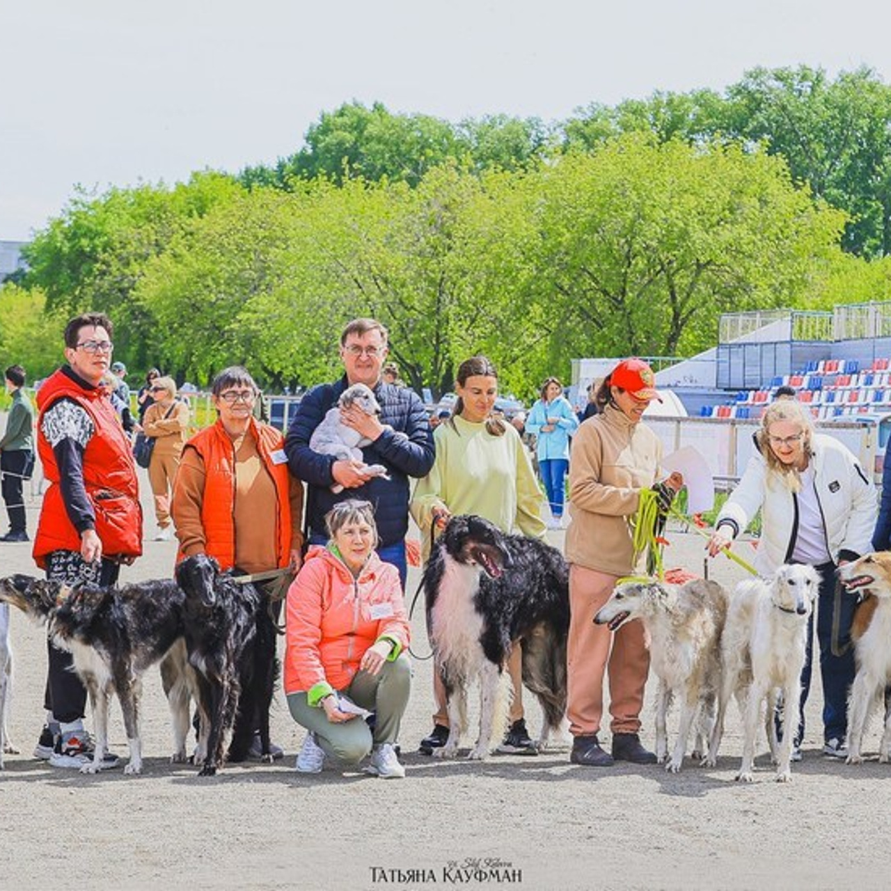 Татьяна Кауфман - отзывы о фотосессия. Фотограф Анималист из Новосибирска Татьяна Кауфман