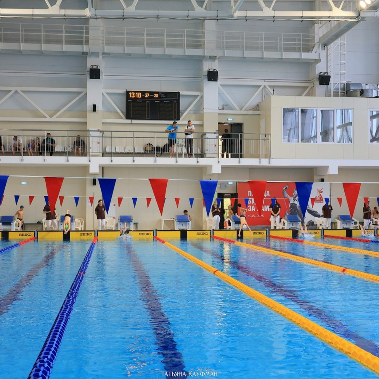 Татьяна Кауфман - отзывы о фотосессия. Фотограф Анималист из Новосибирска Татьяна Кауфман