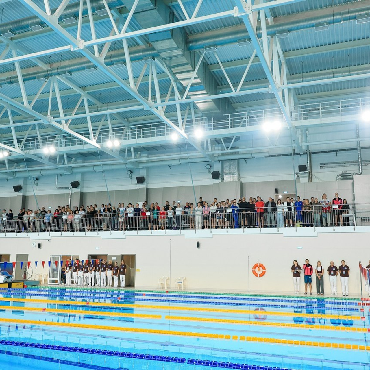 Татьяна Кауфман - отзывы о фотосессия. Фотограф Анималист из Новосибирска Татьяна Кауфман