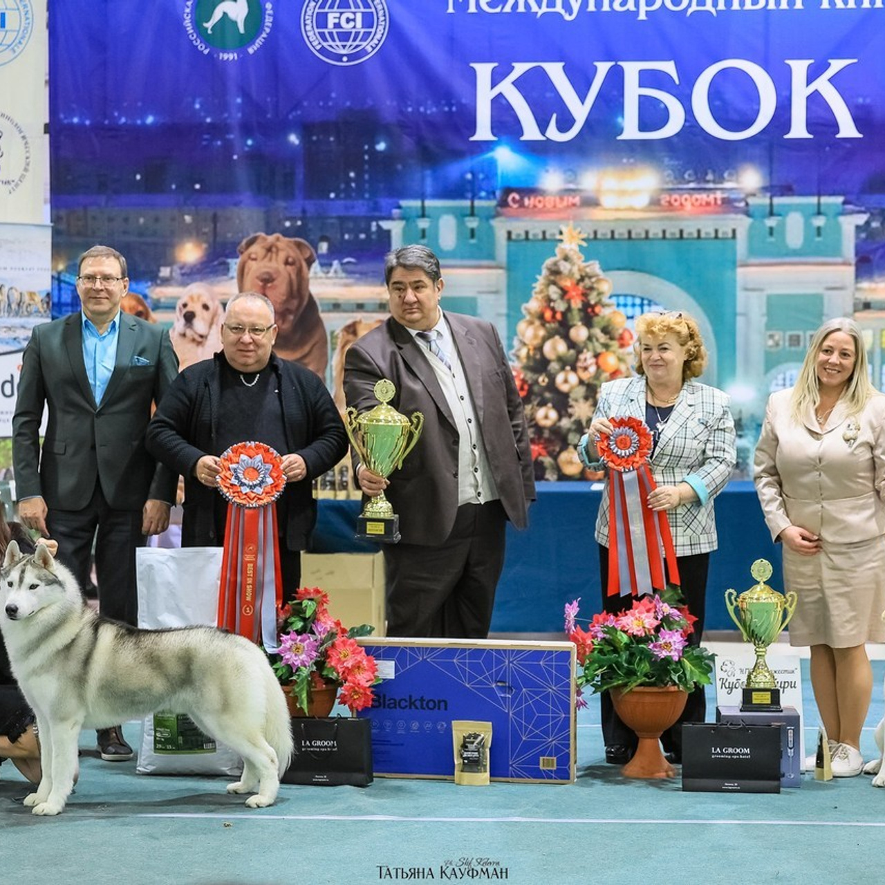 Татьяна Кауфман - отзывы о фотосессия. Фотограф Анималист из Новосибирска Татьяна Кауфман