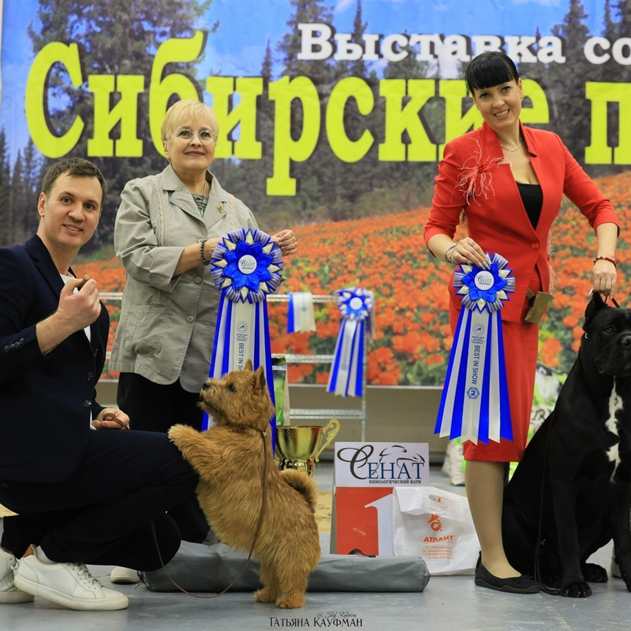 Татьяна Кауфман - отзывы о фотосессия. Фотограф Анималист из Новосибирска Татьяна Кауфман