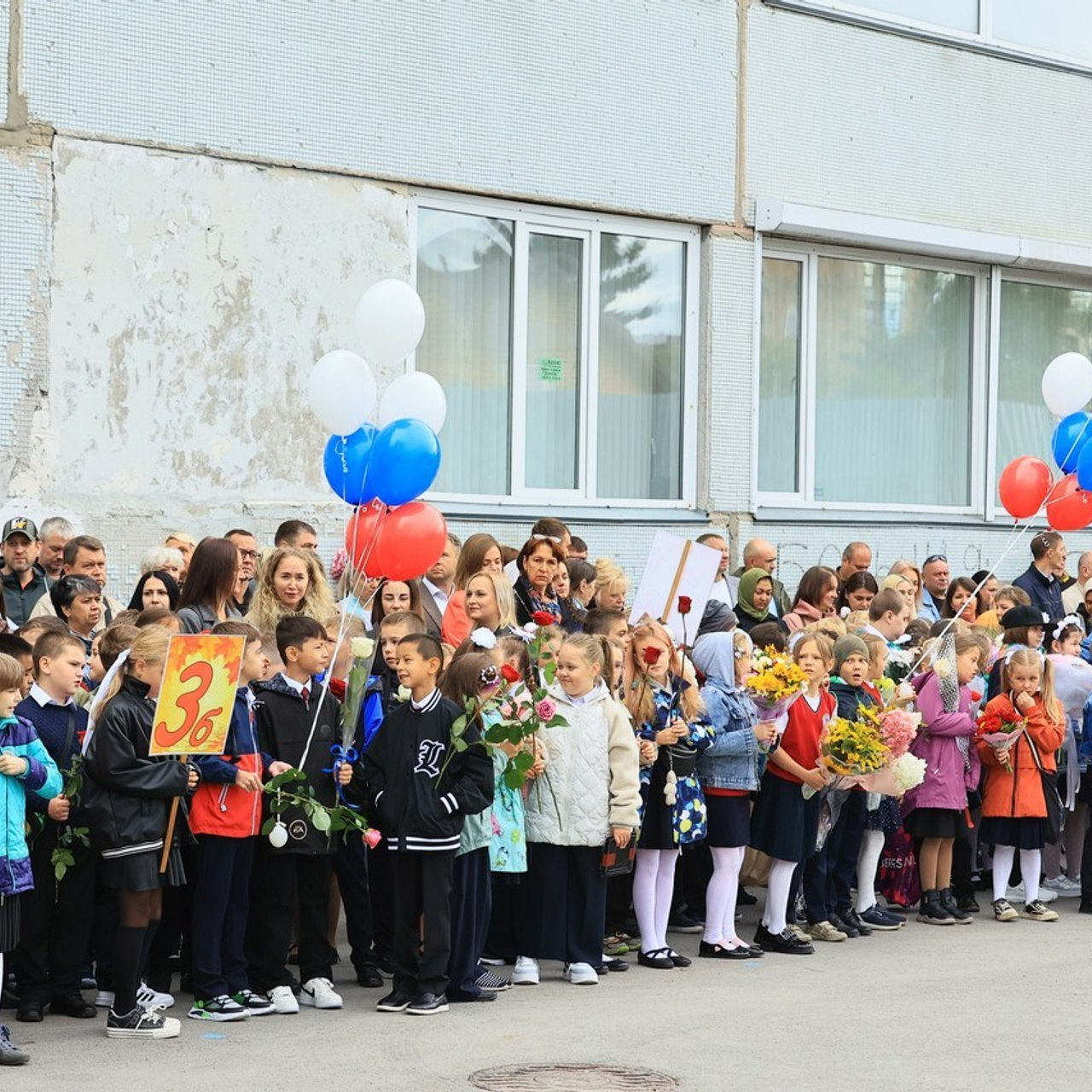 Татьяна Кауфман - отзывы о фотосессия. Фотограф Анималист из Новосибирска Татьяна Кауфман