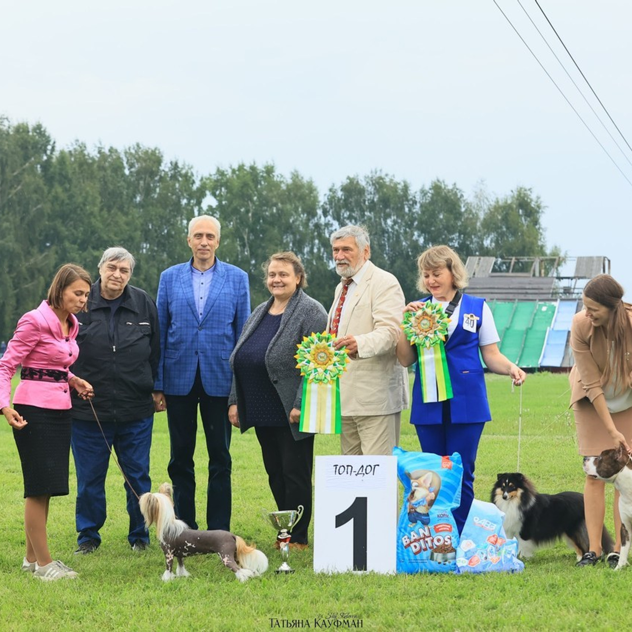 Татьяна Кауфман - отзывы о фотосессия. Фотограф Анималист из Новосибирска Татьяна Кауфман