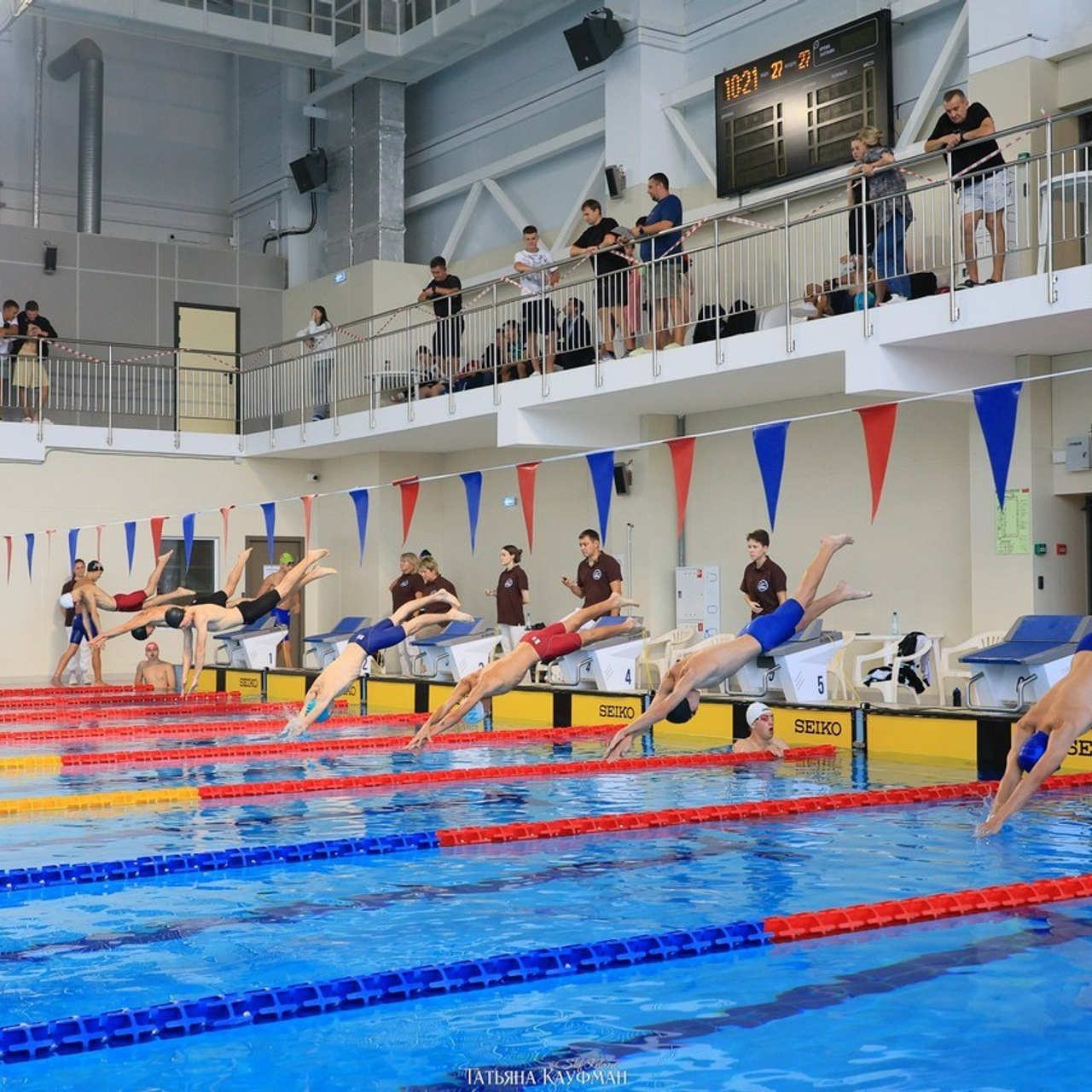 Татьяна Кауфман - отзывы о фотосессия. Фотограф Анималист из Новосибирска Татьяна Кауфман