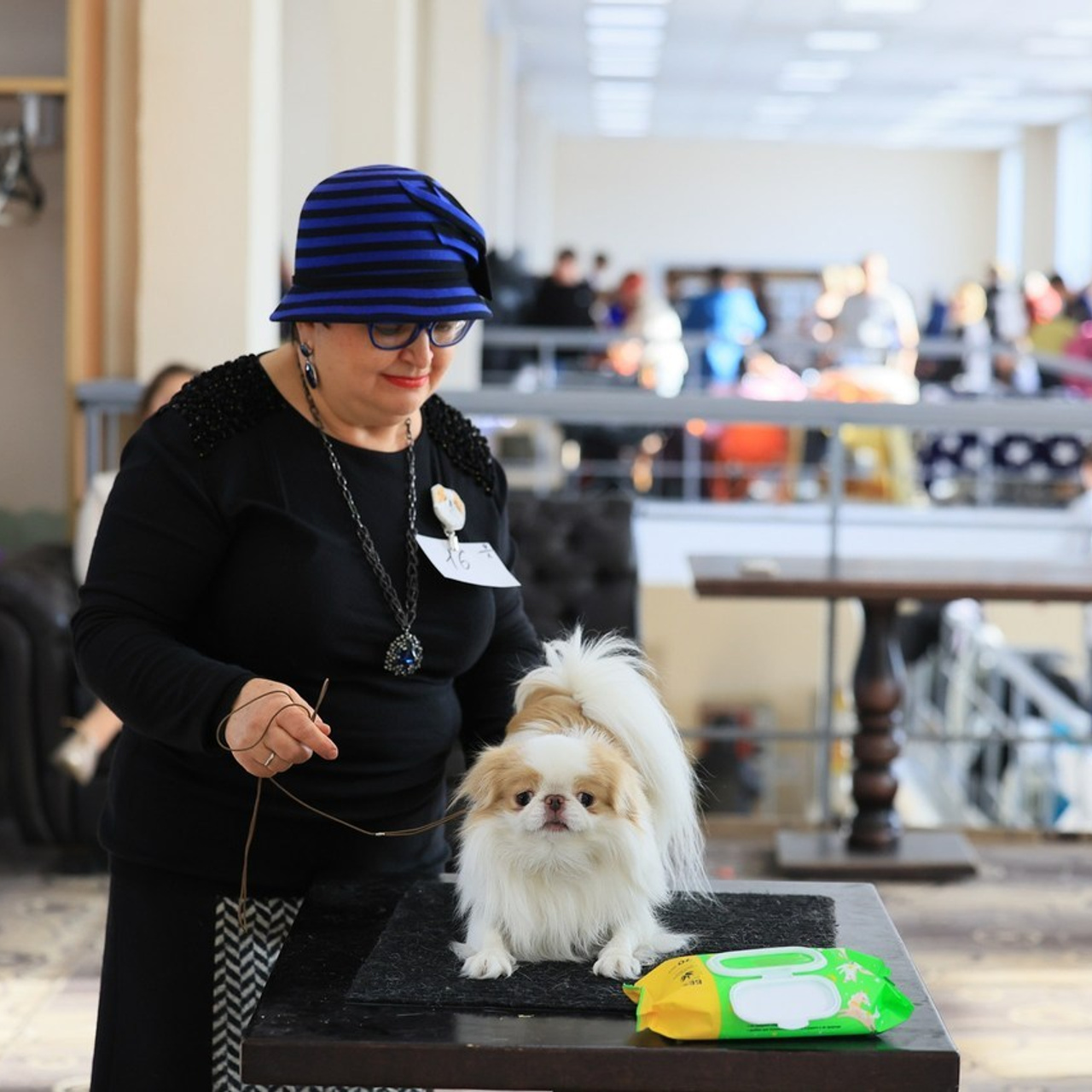 Татьяна Кауфман - отзывы о фотосессия. Фотограф Анималист из Новосибирска Татьяна Кауфман