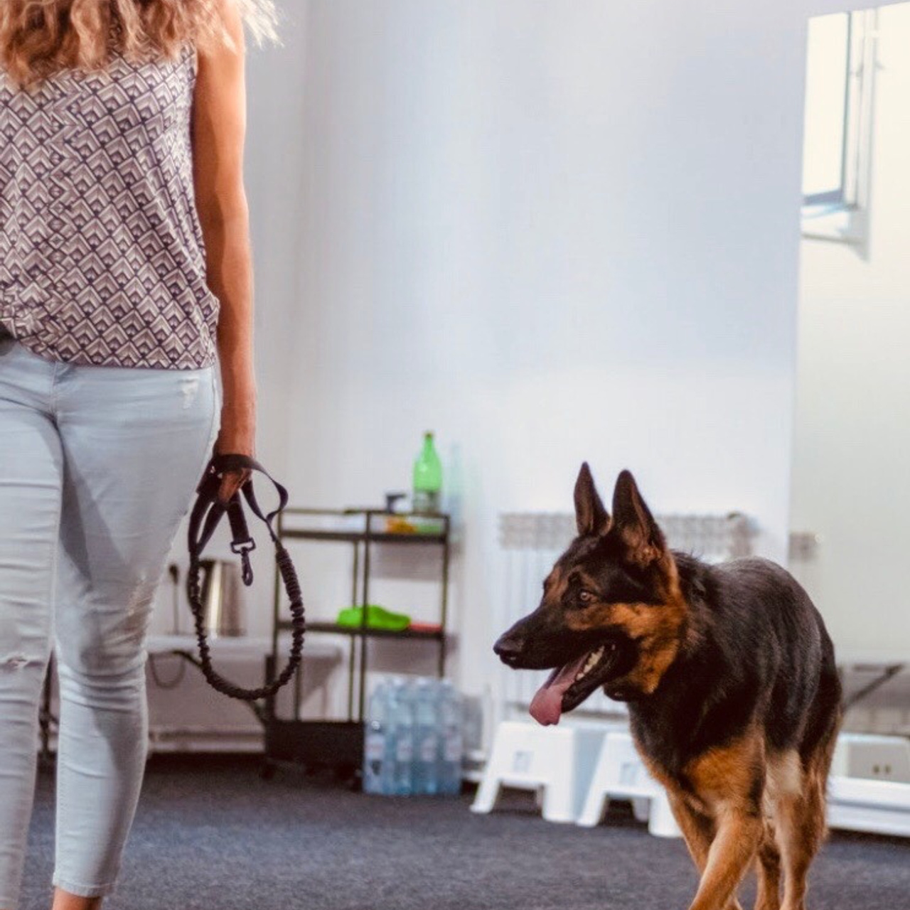 Татьяна Кауфман - отзывы о фотосессия. Фотограф Анималист из Новосибирска Татьяна Кауфман