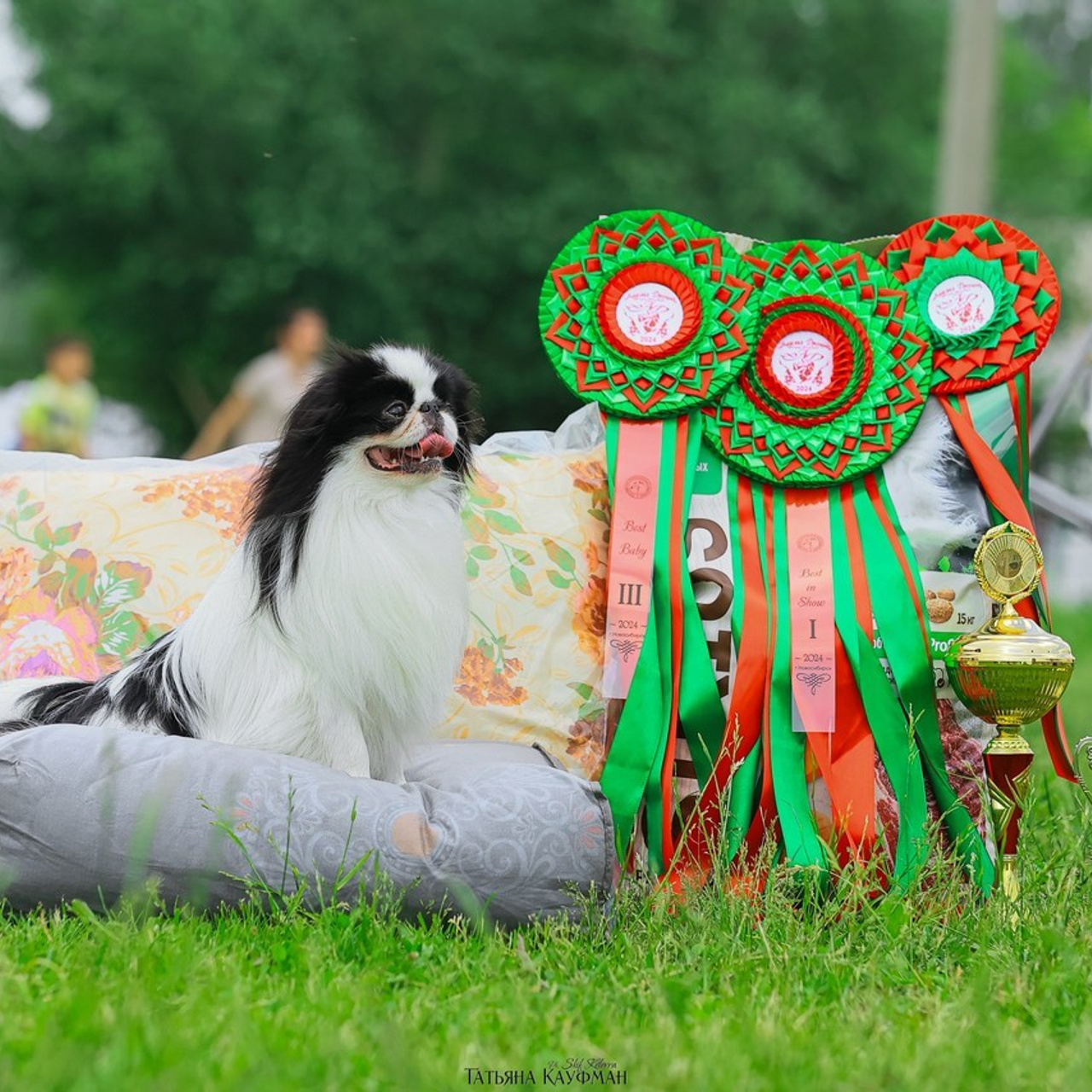 Татьяна Кауфман - отзывы о фотосессия. Фотограф Анималист из Новосибирска Татьяна Кауфман