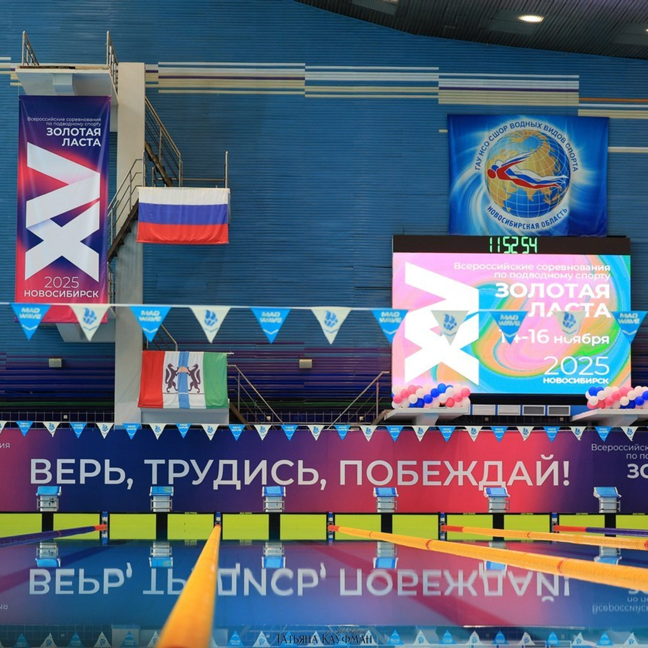 Татьяна Кауфман - отзывы о фотосессия. Фотограф Анималист из Новосибирска Татьяна Кауфман