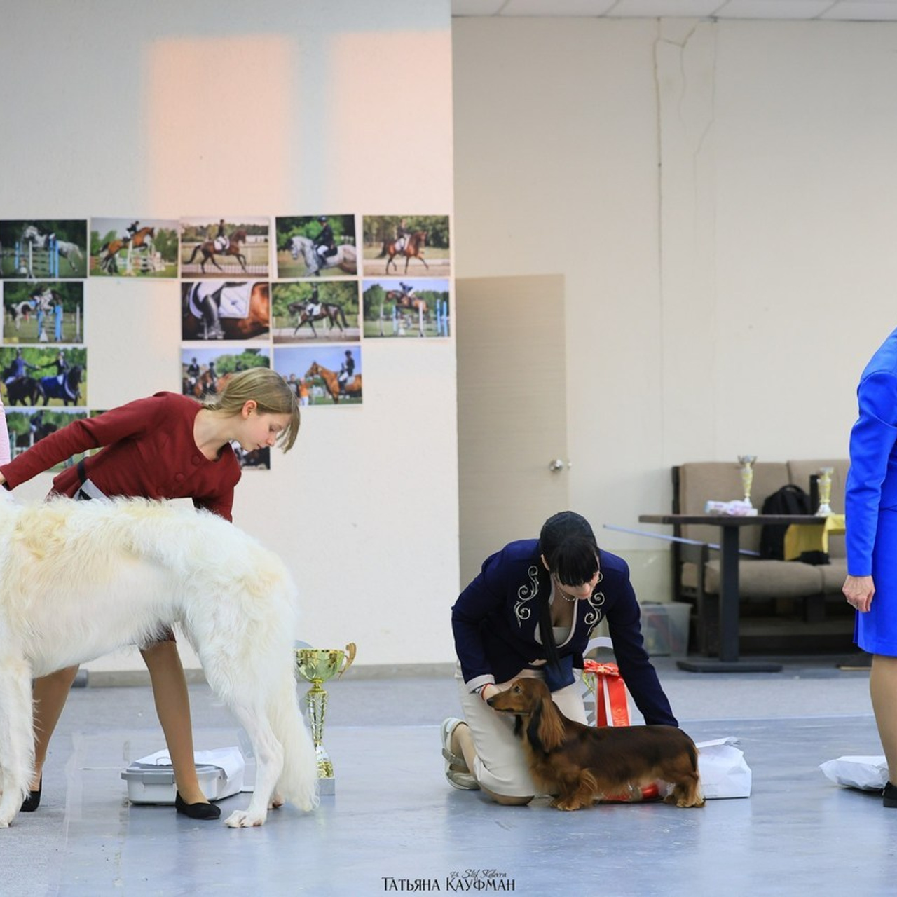 Татьяна Кауфман - отзывы о фотосессия. Фотограф Анималист из Новосибирска Татьяна Кауфман