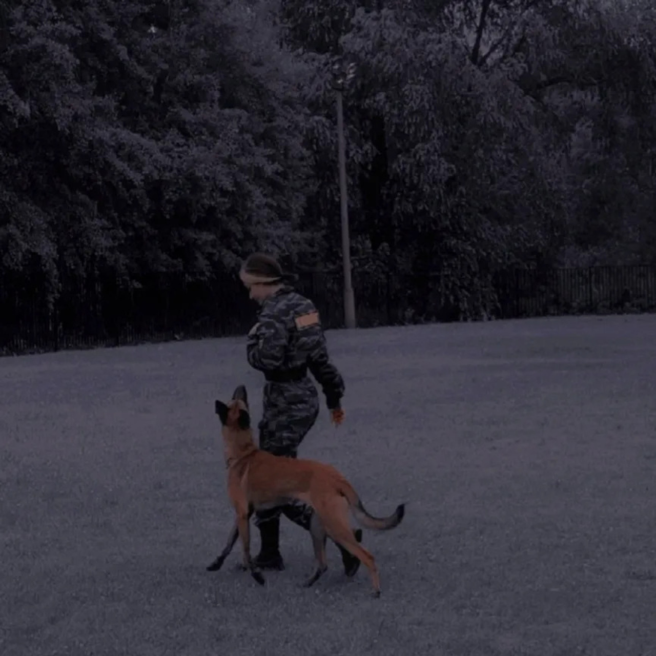 Татьяна Кауфман - отзывы о фотосессия. Фотограф Анималист из Новосибирска Татьяна Кауфман